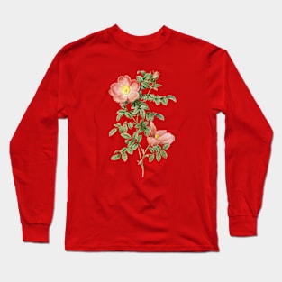 Vintage Red Sweetbriar Rose Botanical Illustration Long Sleeve T-Shirt